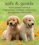 Burt’s Bees Tearless 2-in-1 Shampoo & Conditioner – 473 ml | All-Natural Buttermilk & Linseed Oil Formula