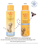 Burt’s Bees Tearless 2-in-1 Shampoo & Conditioner – 473 ml | All-Natural Buttermilk & Linseed Oil Formula