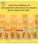 Burt’s Bees Tearless 2-in-1 Shampoo & Conditioner – 473 ml | All-Natural Buttermilk & Linseed Oil Formula