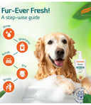 Himalaya Erina-EP Shampoo for Dogs & Cats - 200 ml | Anti-Tick & Flea Care with Neem & Eucalyptus