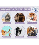 Foodie Puppies Dog Paw Cleaning Foam - 150 ml | Gentle & Nourishing for Healthy Paws