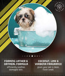 Wahl No-Rinse Oatmeal Dog Shampoo – 210 ml | Gentle Cleansing & Moisturizing Shampoo with Oatmeal