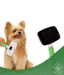 Wahl Self-Cleaning Slicker Brush – Small