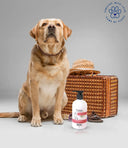 Wahl Puppy Shampoo - 300 ml | Gentle pH-Balanced No-Tear Formula with Cornflower & Aloe