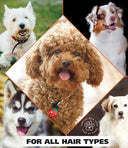 Wahl 4-in-1 Shampoo & Conditioner for Dogs – 709 ml | Lavender & Chamomile Calming Formula