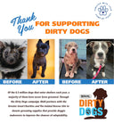 Wahl Oatmeal Shampoo – 709 ml | Soothes and Moisturizes with Coconut, Lime & Verbena